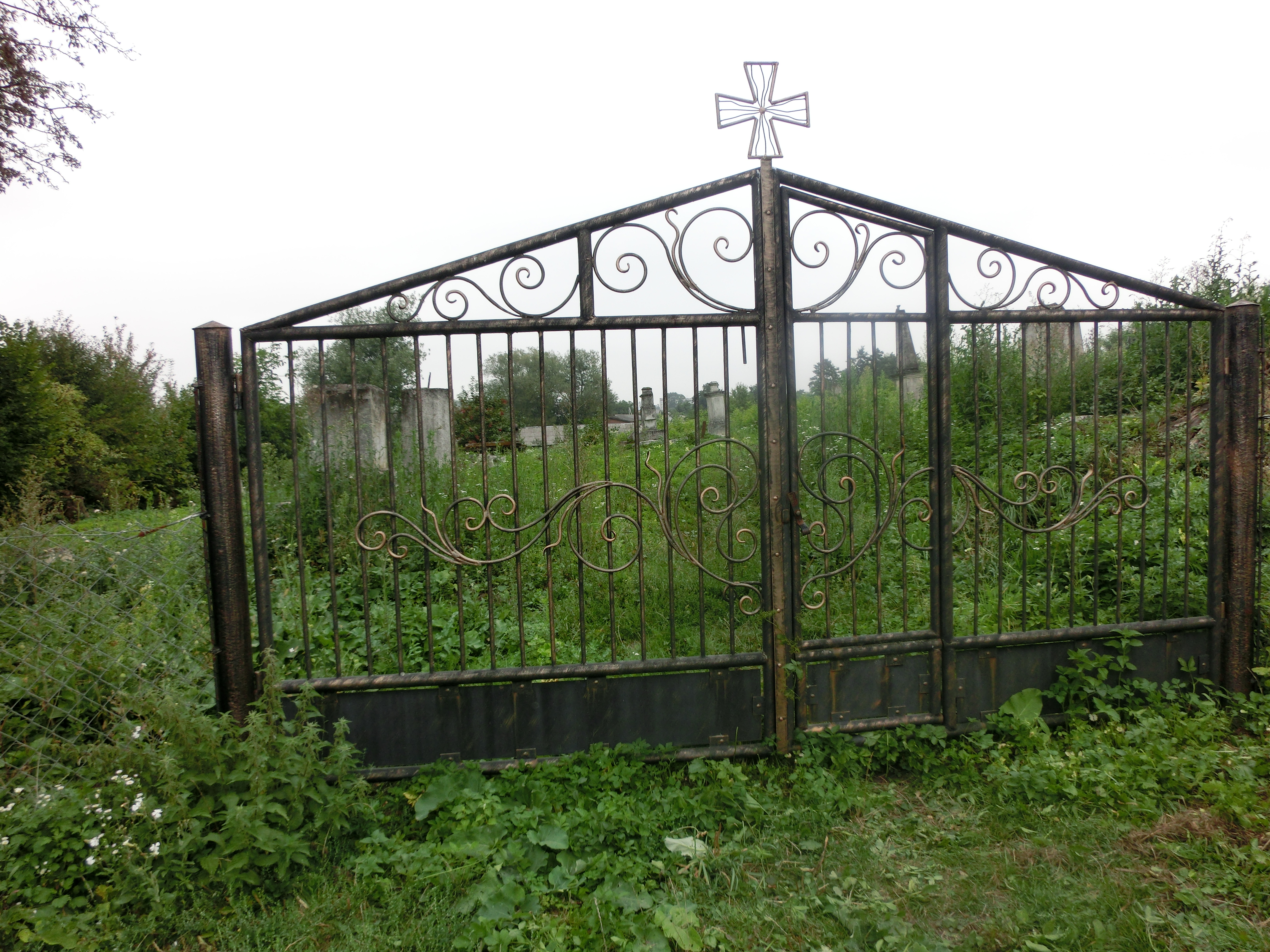 CIMG6384.JPG