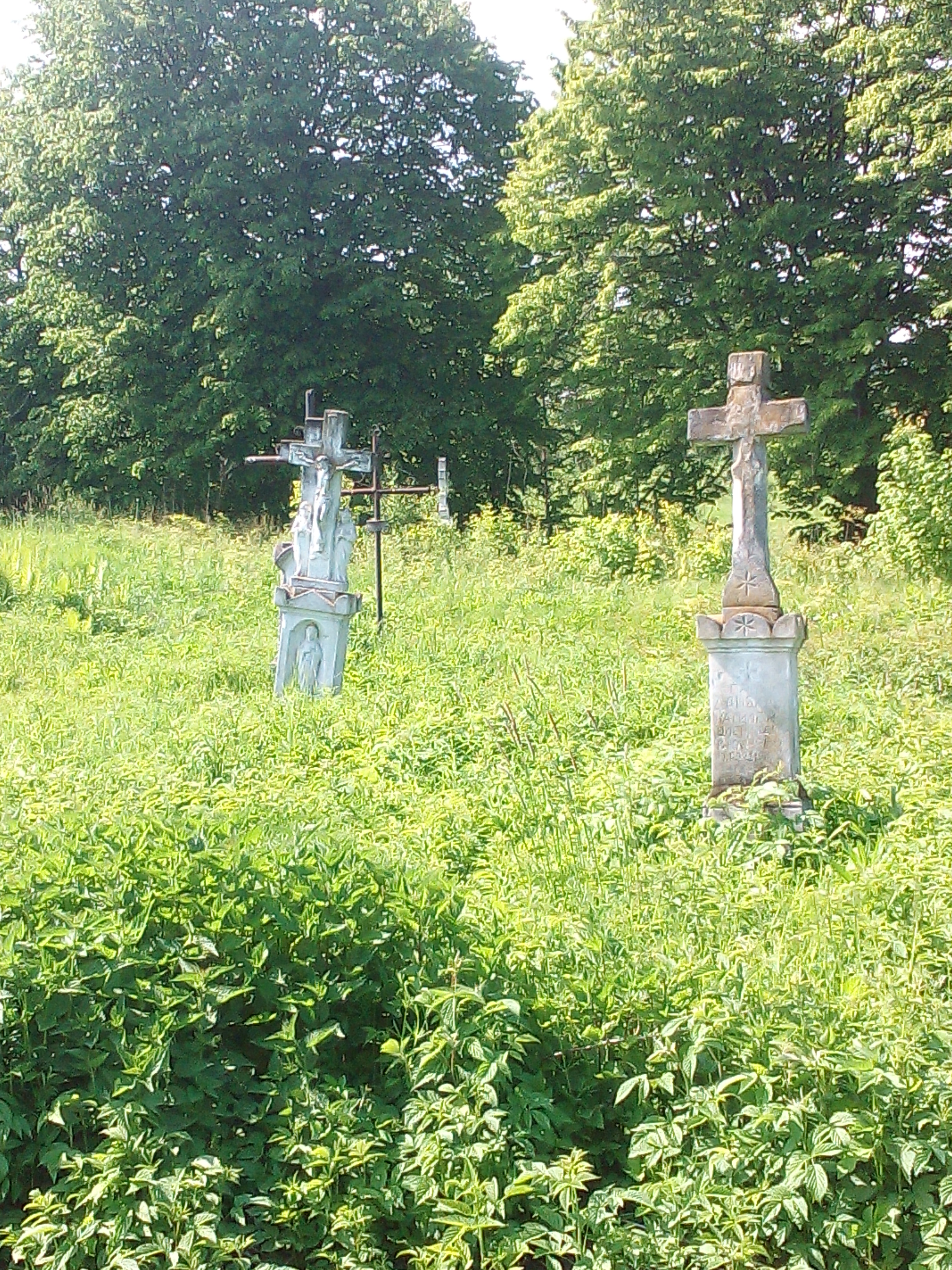 IMG_20160522_155709.jpg